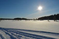 Ведлозеро зимой