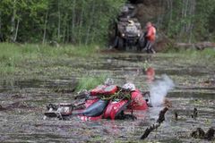 Квадры