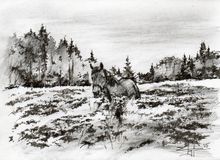 2015, графика. Экспедиция "Онежское кольцо". Ильинский монастырь.