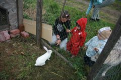 Зоосад в Кинерме