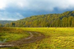 Вепсский лес