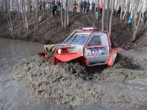 Водомерка