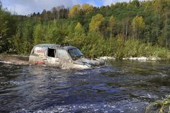 Вепсский лес 2011