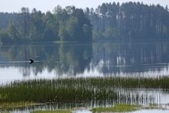 Карелия