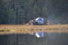 Водомерка