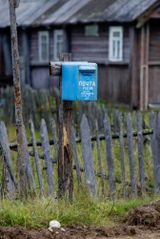 Вепсский лес 2011