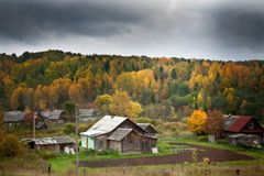 Вепсский лес