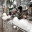 Зоокомплекс Три Медведя