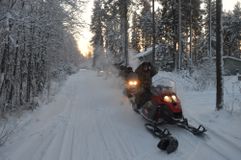 Сафари на снегоходах